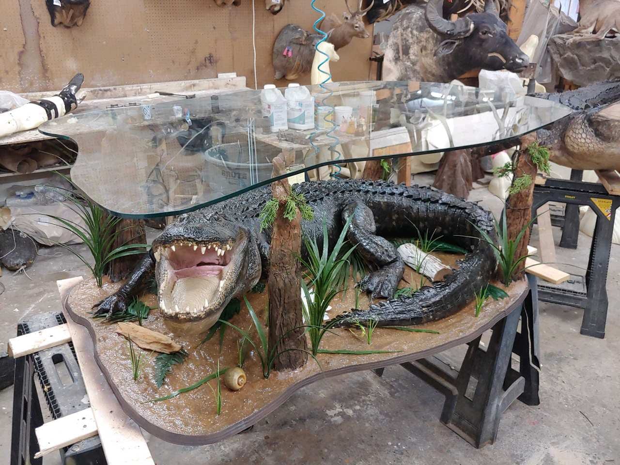 Finished taxidermy mount in the Skins & Scales Trophy Room
